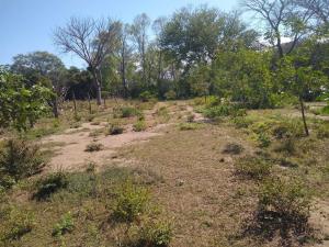 Terreno en venta en La Bocana (Dos Bocas), Medellín de Bravo — foto 2 de 5