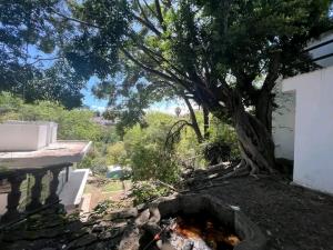 Terreno en venta en Miraval, Cuernavaca — foto 2 de 15