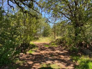 Finca-Rancho en venta en San Miguel Dehetí, Amealco de Bonfil — foto 2 de 32