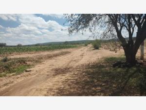 Terreno en venta en San Jose Navajas, El Marqués — foto 3 de 6