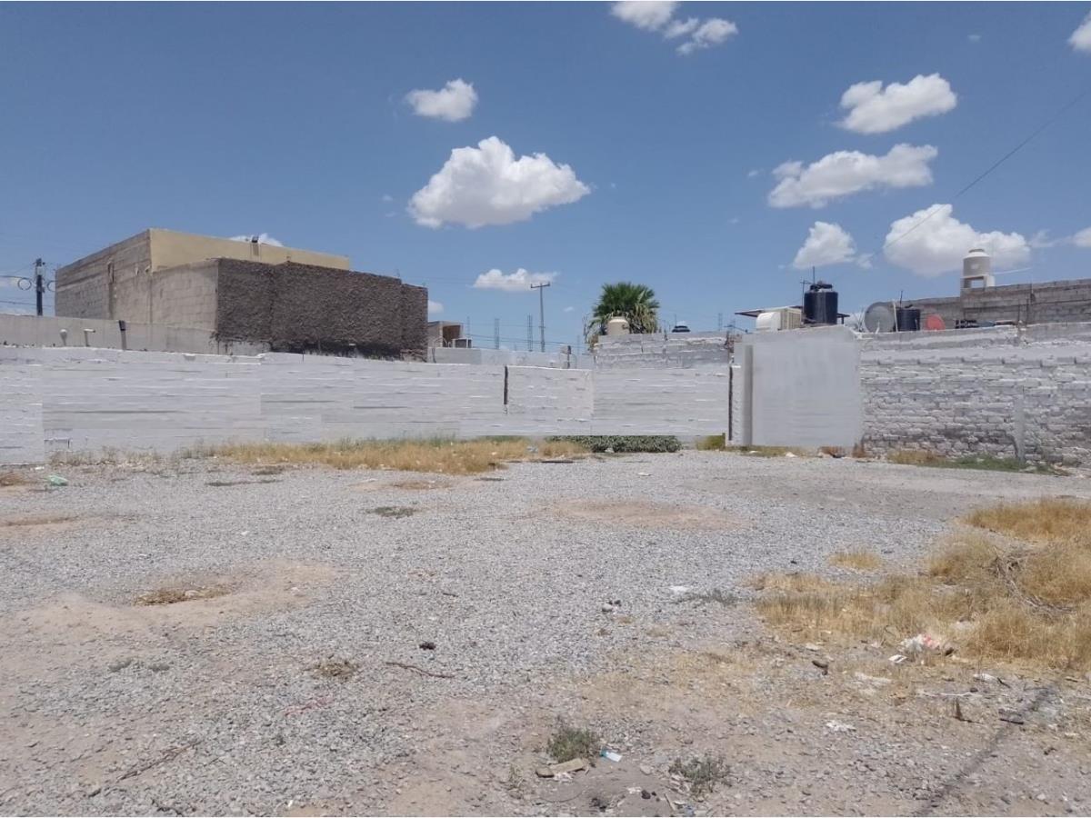 Terreno en Renta en Anna, Torreón, Coahuila de Zaragoza