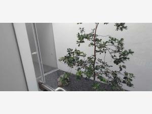 Casa en venta en Loma Alta, Morelia — foto 3 de 53