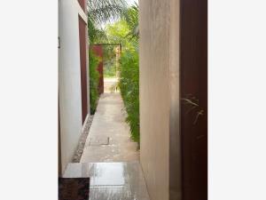 Departamento en renta en Temozon Norte, Mérida — foto 3 de 19