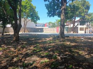 Terreno en renta en Paraiso Centro, Paraíso — foto 3 de 9