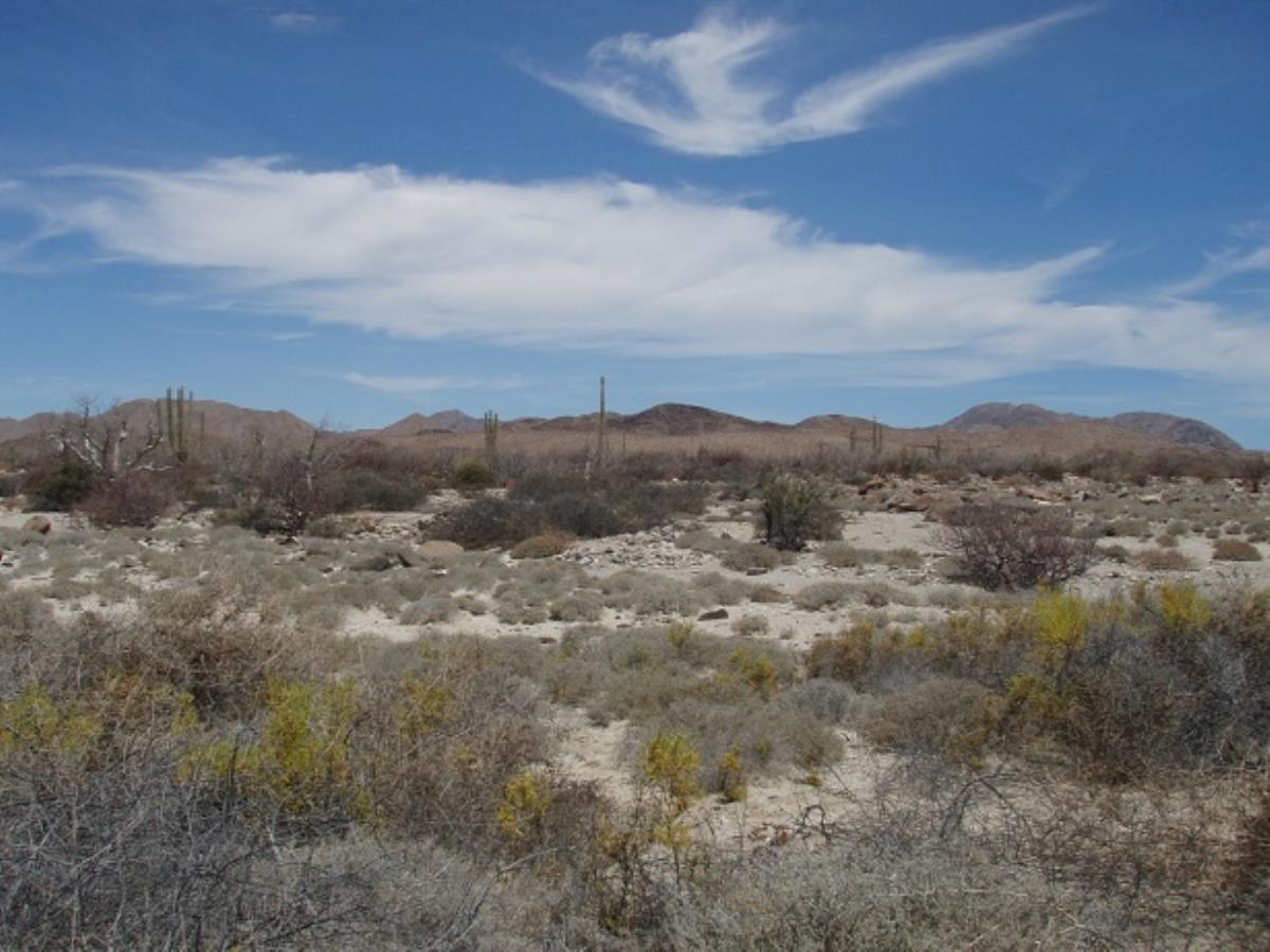 Terreno en venta en San Quintín, San Quintín — foto 1 de 4