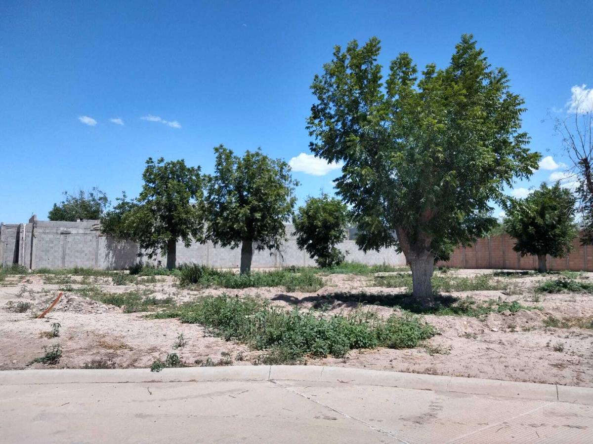 Vista 2 de Terreno en Venta en La Barranca, Torreón, Coahuila de Zaragoza