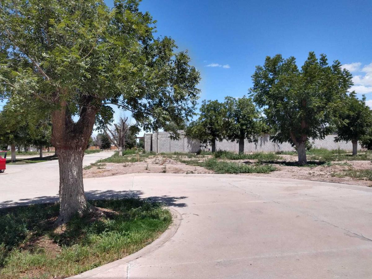 Vista 4 de Terreno en Venta en La Barranca, Torreón, Coahuila de Zaragoza