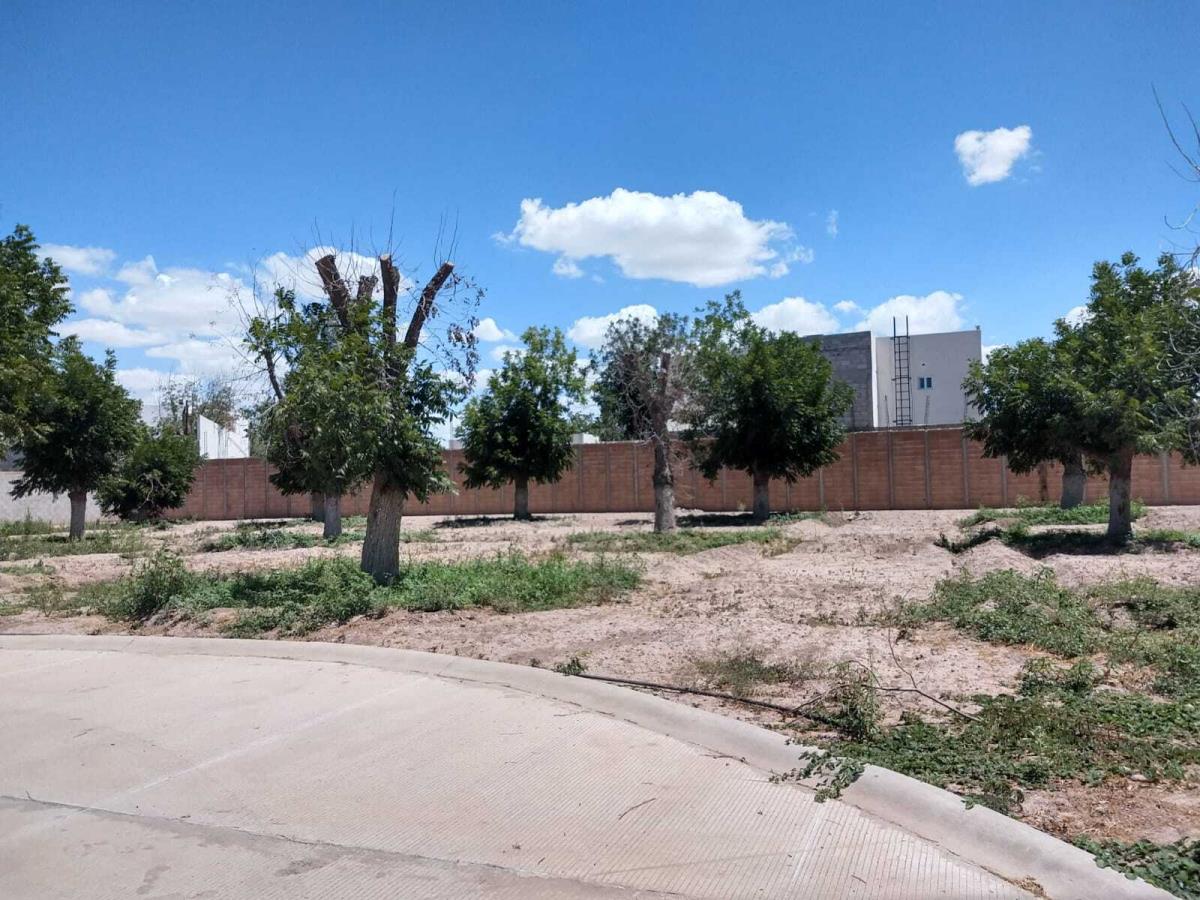 Vista 5 de Terreno en Venta en La Barranca, Torreón, Coahuila de Zaragoza