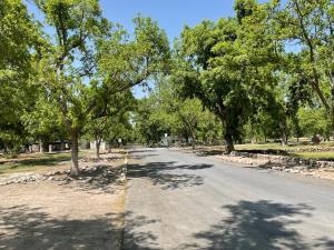 Terreno en venta en Parras de la Fuente Centro, Parras — foto 2 de 8