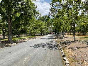 Terreno en venta en Parras de la Fuente Centro, Parras — foto 3 de 8