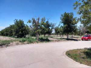 Terreno en venta en La Barranca, Torreón — foto 2 de 12