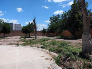 Terreno en venta en La Barranca, Torreón — foto 3 de 12