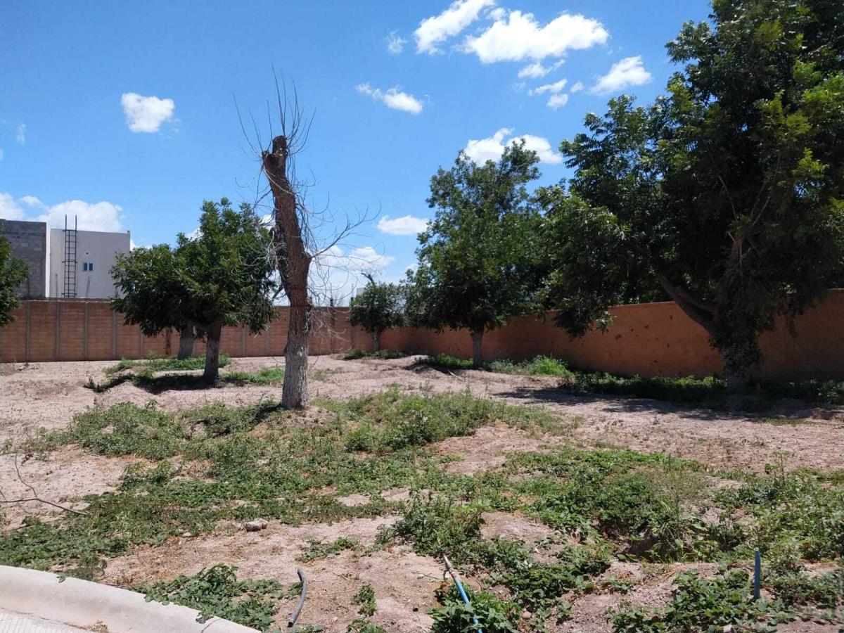 Vista 5 de Terreno en Venta en La Barranca, Torreón, Coahuila de Zaragoza