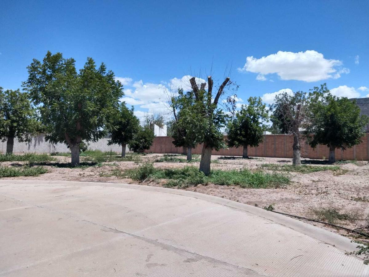 Vista 4 de Terreno en Venta en La Barranca, Torreón, Coahuila de Zaragoza
