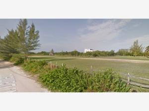 Terreno en venta en Isla de Holbox, Lázaro Cárdenas — foto 3 de 4