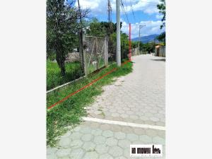 Terreno en venta en San Andres Huayapam, San Andrés Huayapam — foto 3 de 15