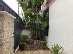 Casa en venta en Arcos Vallarta, Guadalajara — foto 3 de 21