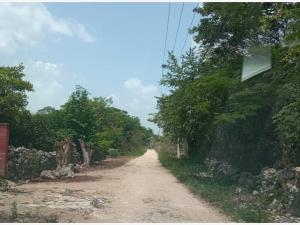 Terreno en venta en Tepakán, Tepakán — foto 3 de 6