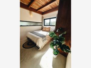 Departamento en venta en Tulum Centro, Tulum — foto 2 de 28