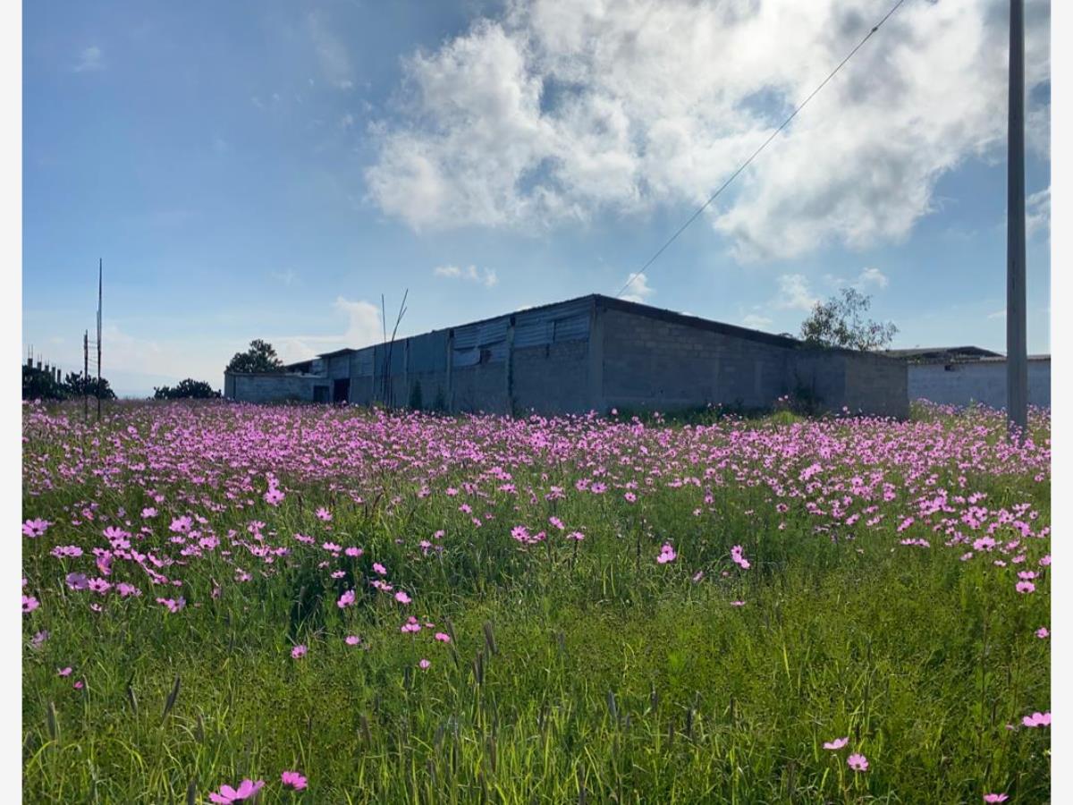 Finca-Rancho en venta en El Charcón, Nopala de Villagrán — foto 1 de 50