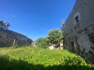 Finca-Rancho en venta en El Charcón, Nopala de Villagrán — foto 3 de 50