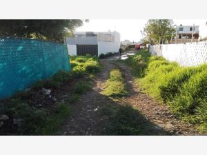 Terreno en venta en Atzala, San Andrés Cholula — foto 3 de 3