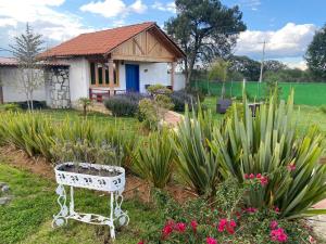 Finca-Rancho en venta en Huasca de Ocampo Centro, Huasca de Ocampo — foto 2 de 18