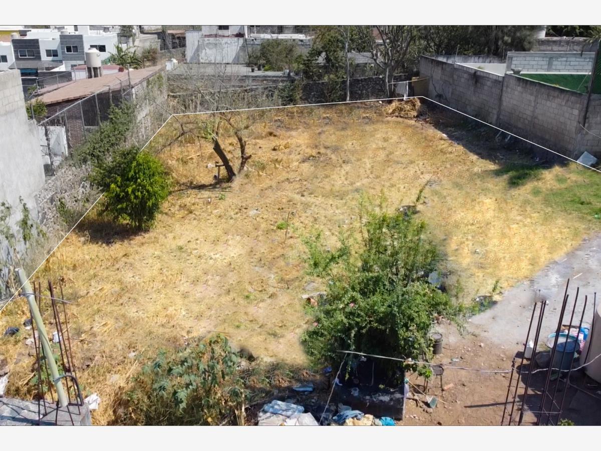 Terreno en venta en Tres de Mayo, Emiliano Zapata — foto 1 de 3