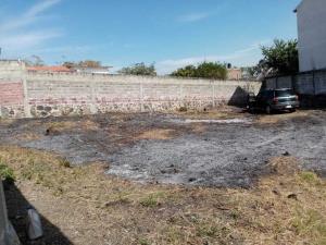 Terreno en venta en Paracas, Yautepec — foto 3 de 8