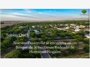 Terreno en venta en San Armando, Torreón — foto 2 de 15