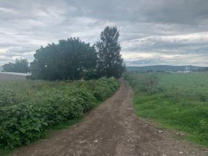 Terreno en venta en Valle Sur, Atlixco — foto 3 de 5