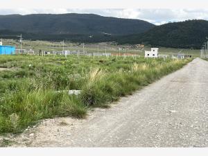Terreno en venta en San Antonio de las Alazanas, Arteaga — foto 2 de 2