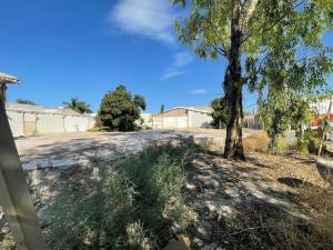 Terreno en renta en Granjas San Isidro, Torreón — foto 2 de 5