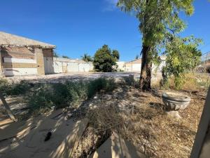 Terreno en renta en Granjas San Isidro, Torreón — foto 3 de 5