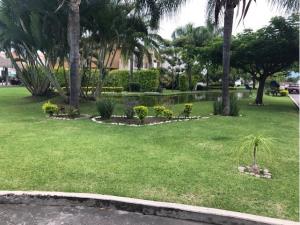 Terreno en venta en Jose G Parres, Jiutepec — foto 3 de 17