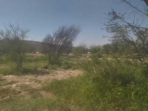 Terreno en venta en Rancho Nuevo, Ramos Arizpe — foto 2 de 15
