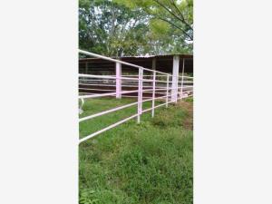 Finca-Rancho en venta en Catemaco, Catemaco — foto 2 de 20