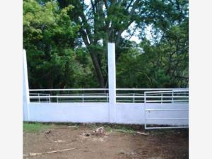 Finca-Rancho en venta en Catemaco, Catemaco — foto 3 de 20