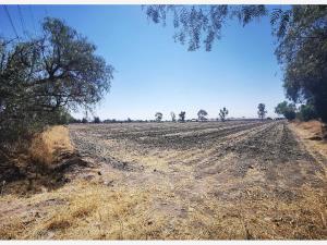 Terreno en venta en La Pila, Colón — foto 2 de 4