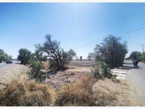 Terreno en venta en La Pila, Colón — foto 3 de 4