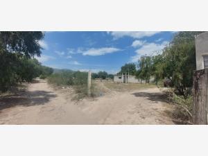 Terreno en venta en Santiago Alseseca, Tecamachalco — foto 2 de 14