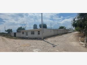 Terreno en venta en Santiago Alseseca, Tecamachalco — foto 3 de 14