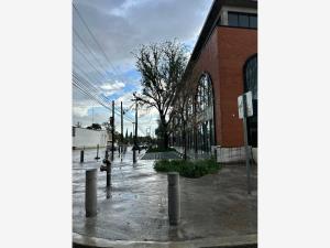 Consultorio en renta en Saltillo Centro, Saltillo — foto 2 de 23