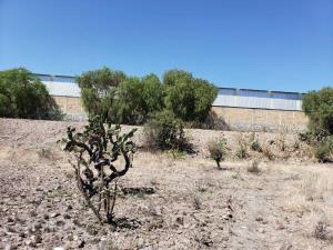 Terreno en venta en Infonavit Pedregoso, San Juan del Río — foto 2 de 5