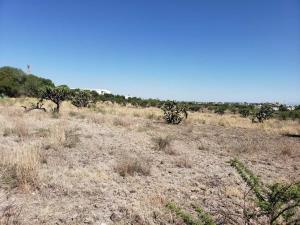 Terreno en venta en Infonavit Pedregoso, San Juan del Río — foto 3 de 5