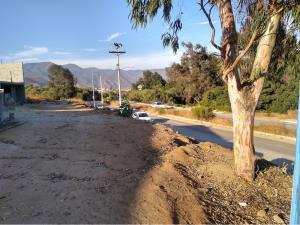 Terreno en renta en Los Encinos, Ensenada — foto 2 de 5