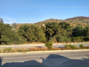 Terreno en renta en Los Encinos, Ensenada, Baja California