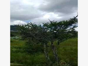 Terreno en venta en Bernal, Ezequiel Montes — foto 3 de 6