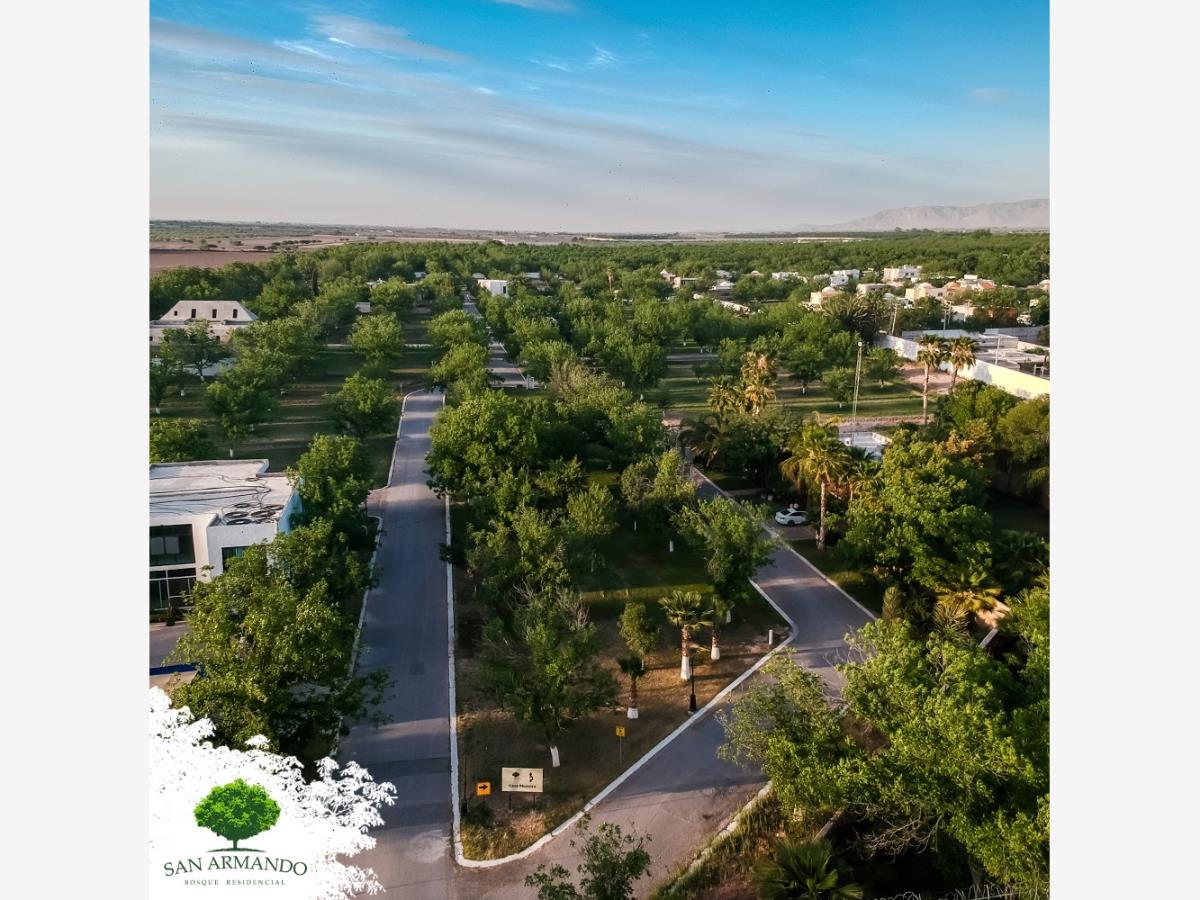 Terreno en venta en San Armando, Torreón — foto 1 de 3