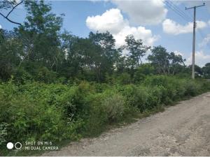 Terreno en venta en Bosques de Umán, Umán — foto 2 de 4